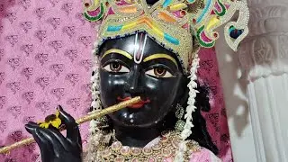 ठाकुर जी की आरती के दर्शन#भक्तिसार #भक्ति #radharani 