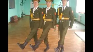 GARDA DE ONOARE DMB 2011 VARA