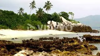 Shoreline of Cousin Island, Seychelles