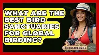 What Are The Best Bird Sanctuaries For Global Birding? - Bird Watching Diaries