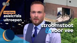 Stroomstootwapens op dieren | De Avondshow met Arjen Lubach (S6)
