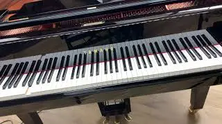 Yamaha DCX6 Disclavier Enspire, DCX3
