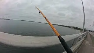Sea Monster under the bridge