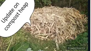 0140 - Update on composting heap #compost #agriculture #vermicompost