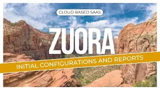 Краткий обзор настроек Zuora