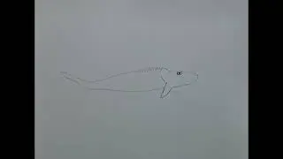 Drawing Cephalaspis &ndash; A Prehistoric Jawless Fish!