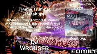 Party Till We Die vs Sandstorm vs Valencia (Timmy Trumpet Mashup)