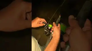 night family fishing #entertainment #relaxfishing#fish catching video