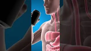 What happens when you drink water #animation