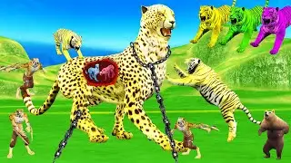 विशाल गर्भवती चीता का बदला और रंगीन बाघ सेना का कहर | Vishal Garbhvati cheetah | Rangeen bagh