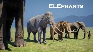 Elephant Size Comparison: Prehistoric, Living and Mystical | The Largest Elephant in the World