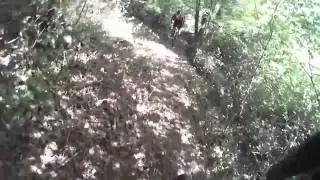 rando creon 85kms
