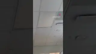 Ballast inside fluorescent troffer goes bad, causing loud buzzing #shorts