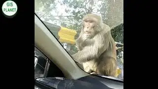 This is what happened when you travel Northern Pakistan | Clever Monkey |GIS PLANET