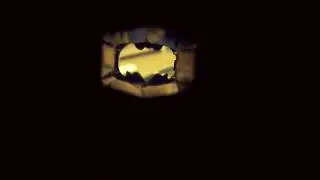 bat vision