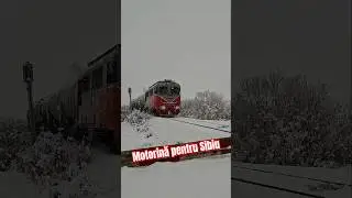 Tren CFR Marfa Copsa Mica - Sibiu #shorts #trainspotting #sibiu #romania #tren #cfrmarfa