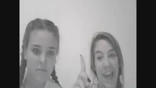 CRAZY ANIMALS......on the loose!