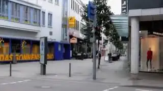 Intelligent Swans as compared to Humans