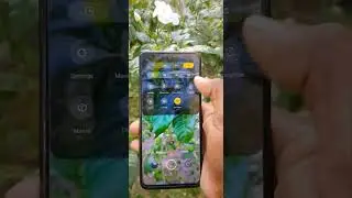 poco m2 pro camera pro mode tricks | smartphone  photography #poco #flower #shorts #trending #reels