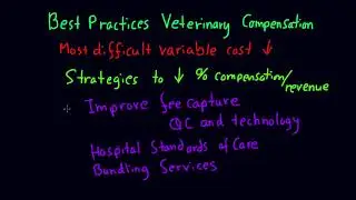Best Practices for Veterinary Compensation