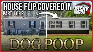 Flipping A House Covered in Dog Poop! Part 1 | Aaron's Risky Renos