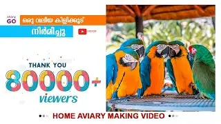 Home Aviary making video | Time Laps | DIY | Bird Cage | ഒരു വലിയ കിളിക്കൂട് ഉണ്ടാക്കി @StoryGo