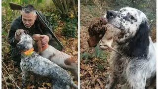 CHASSE A LA Bécasse / les meilleures actions du mois de Novembre / partie 1