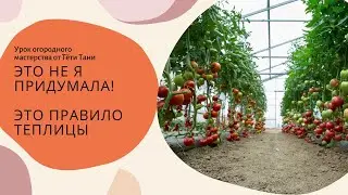 493. Почему томатам, перцам, баклажанам  и огурцам плохо вместе...