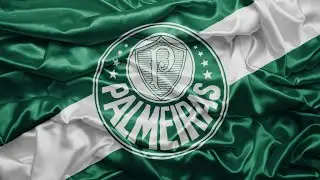 Hino do Palmeiras - Violino #palmeiras #hinodopalmeiras