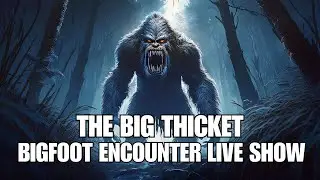 Class A Bigfoot Encounter Stories: The Big Thicket Saga Live Show
