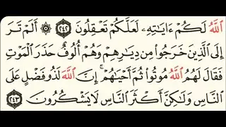 ربع(ألم تر إلى الذين خرجو من ديارهم) سورة البقرة مكتوبة يصوت الشيخ ياسر الدوسري /منوعات اسلامية