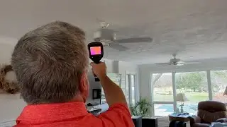 Mold Awareness Showalter Property Consultants