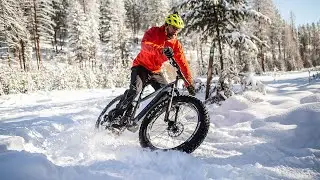 Less Work, More Play: The Bigfoot VLT