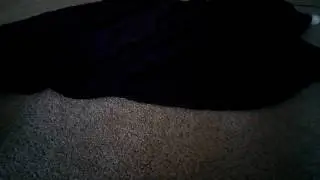 Short Stopmotion Adventures - King Pignapping