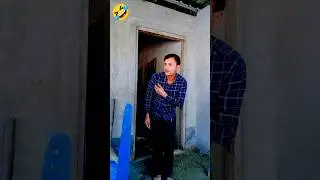 dog acting🐕 raham ali #comedy funny 🤣🤣😲