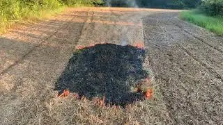 Deer plot burn 🔥. Good idea? Time will tell!