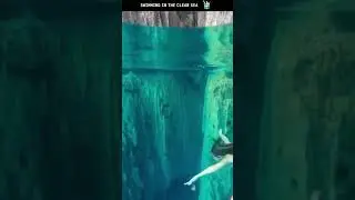 SWIMMING IN THE CLEAR SEA