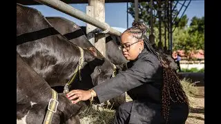 New hope for Dairy Farmers in CashCow