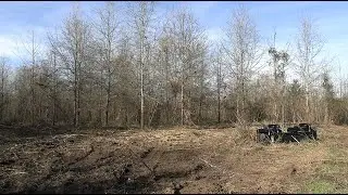 UT Tree Improvement Program Seed Orchard in Lick Creek Bottoms WMA