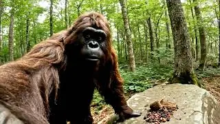Bigfoot s Cryptid Influencer Vlog 1