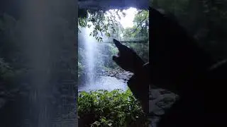 Crystal Shower falls, Dorrigo National Park,NSW