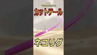 バス釣り初心者の方におすすめのワーム『カットテール』のネコリグを紹介！！#バス釣り #釣り初心者 #ゲーリーヤマモト
