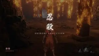 I Beat Lady Butterfly In Sekiro