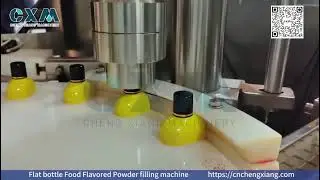 Flat Bottle Powder Filling Machine | Food Flavor Powder Packaging Solution