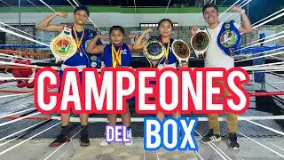 🥊 Descubriendo la Escuela de Box “Mantequilla Tzuc” en Halachó | Talento, Disciplina y Pasión 🔥
