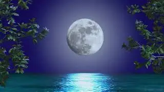 Soothing Music for Sleep with Calm and Soft Harmony