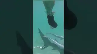 This tool protects you from sharks