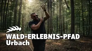 Wald-Erlebnis-Pfad Urbach - Abenteuer zwischen B&auml;renbach und Kugelbahnen | Erlebnispfad