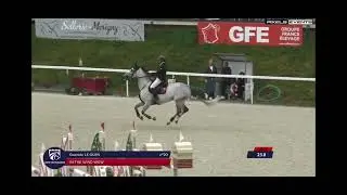 In the Wind - winner of the 1.40 Grand Prix St. Lo 7 yr old