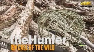 Askiy Ridge Thehunter Call Of The Wild | Beaver Fever Mission (4k 60FPS)